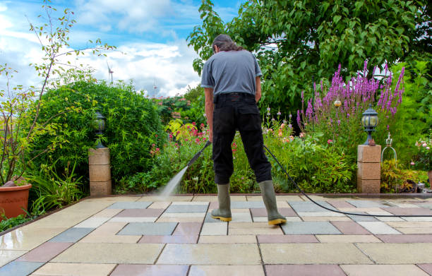 Best Animal Enclosure Cleaning  in Tyrone, OK